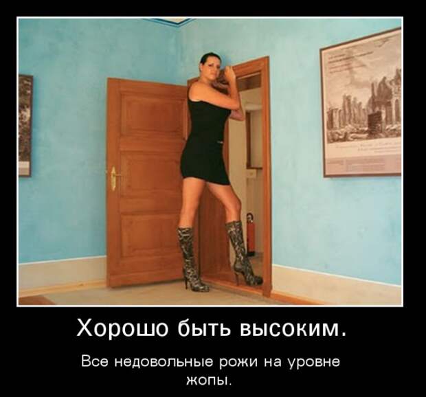 Приколы
