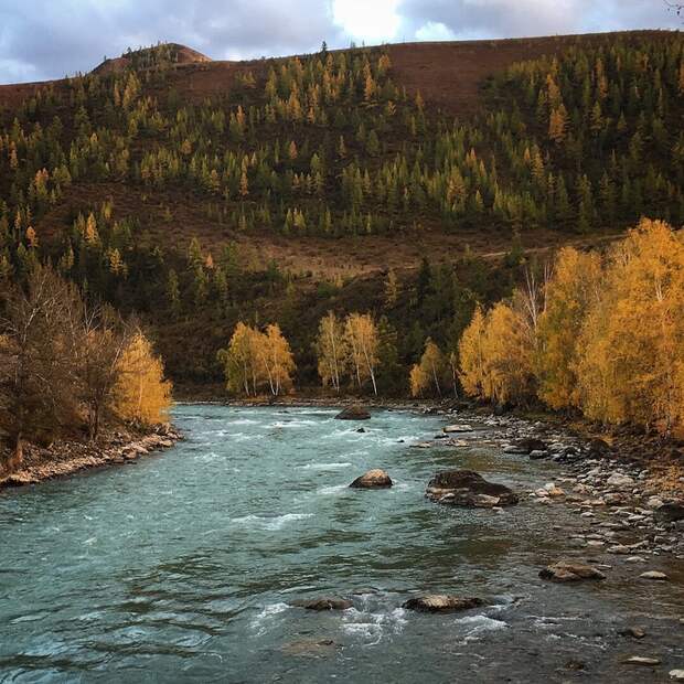 Осенние красоты Алтая Алтай, Горный Алтай, фотография, Видео, честно украдено, длиннопост, Природа