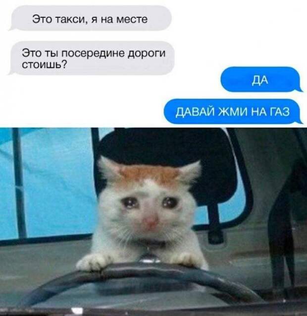 Смешные переписки