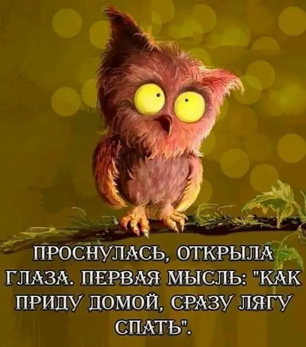 — Что ты попросишь у Деда Мороза в новом 2021 году? — Пощады! сиденье, заднее, продолжает, перебраться, хочешь, улетел, машина, очень, катиться, мужик, которого, место, удержать, спрашивает, время, гольф, никто, здесь, магазинах, норма