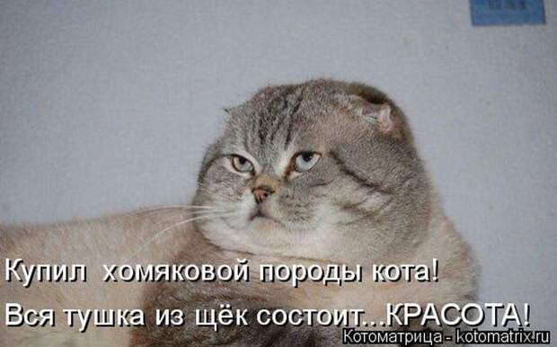 1464560152_25