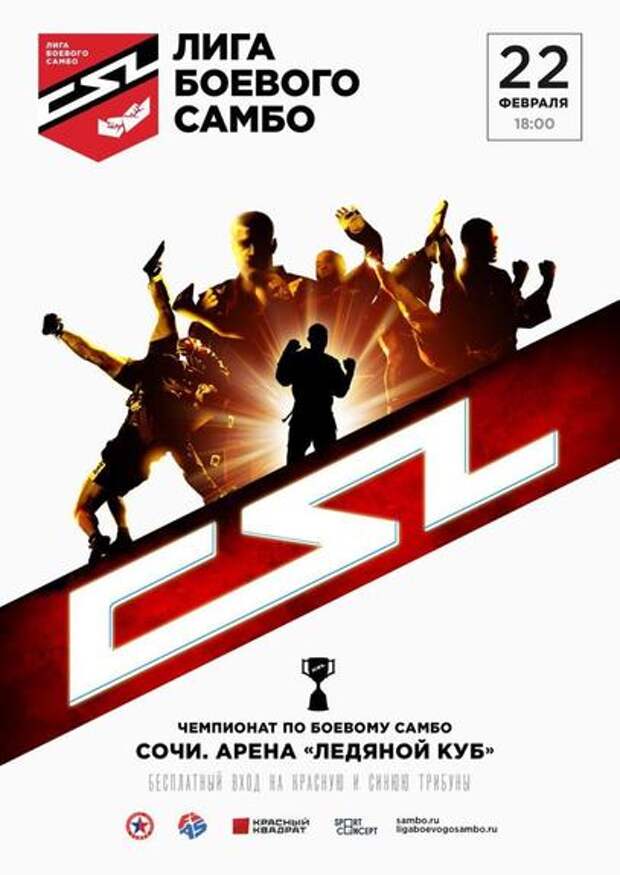 Первый чемпионат Лиги боевого самбо пройдёт  в  Сочи