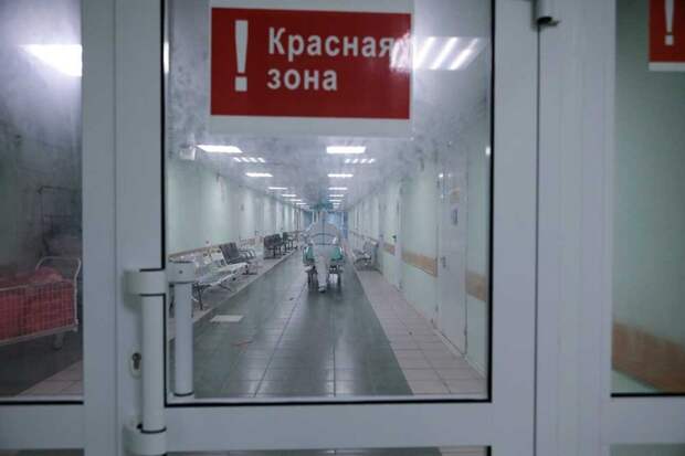 Фото: Софья Сандурская/АГН Москва