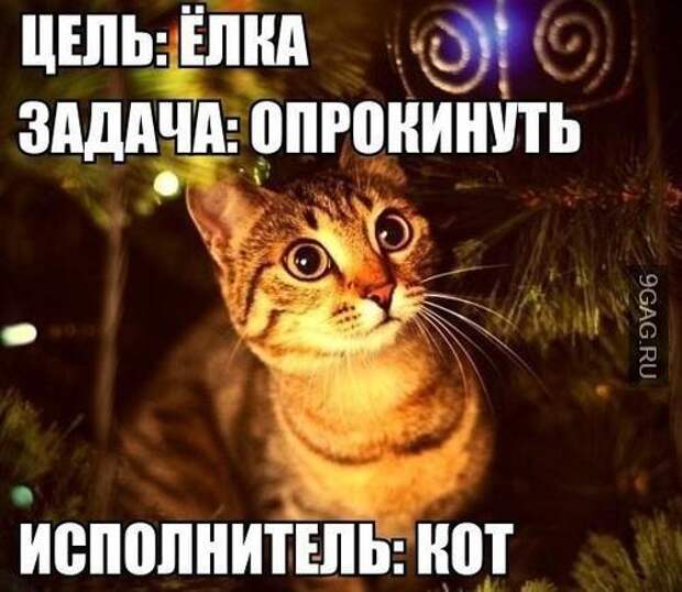 Картинки по запросу кот и елка