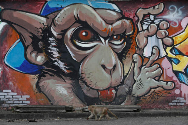 Monkey Buffet Festival: пир для обезьян