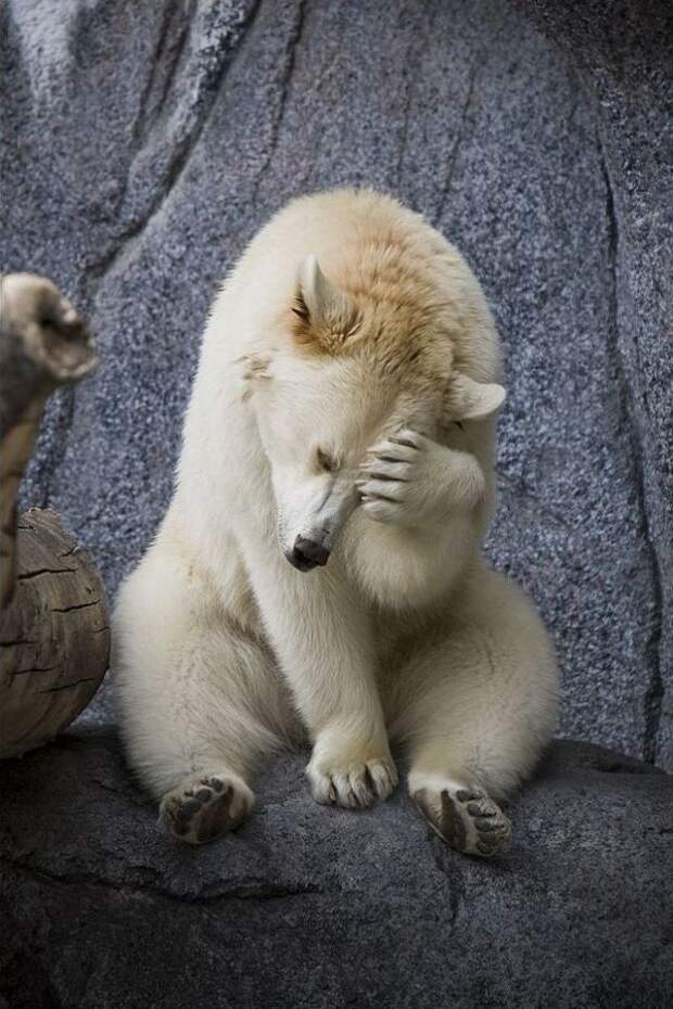 Давайте улыбаться вместе :)