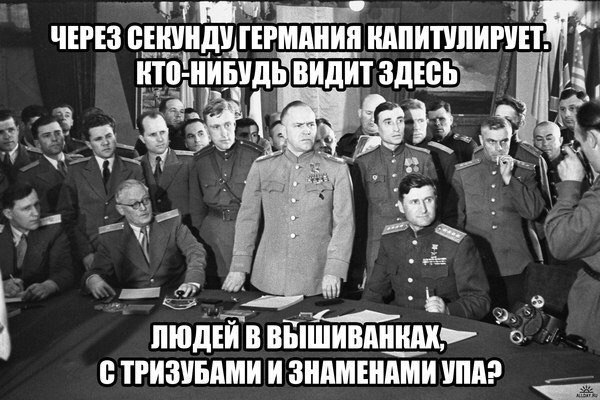 nJbvMvUNG6k.jpg