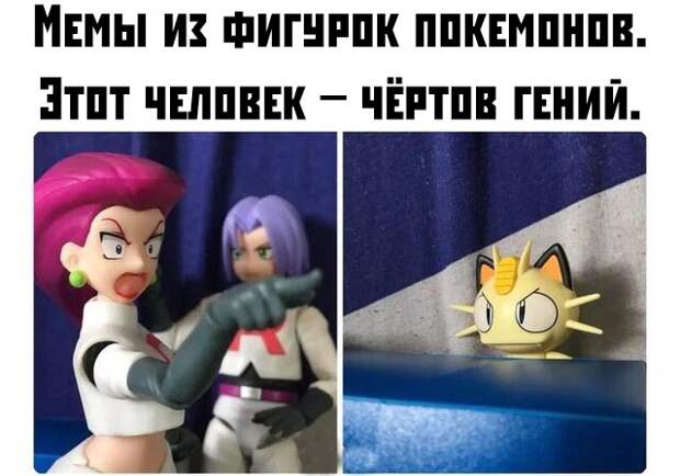kartinok-prikolnyh-podborka-kartinki-smeshnye-kartinki-fotoprikoly