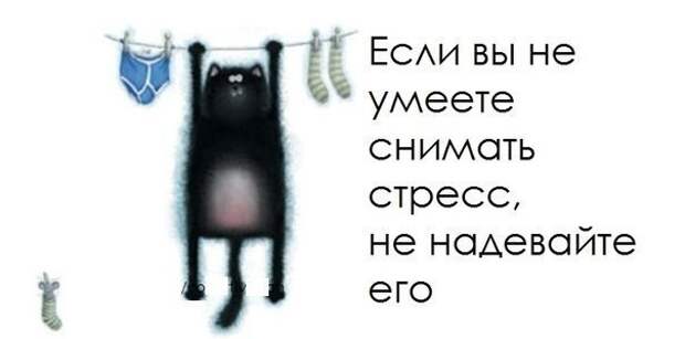 http://cs622216.vk.me/v622216904/444a9/NgFIMQoKQ2E.jpg