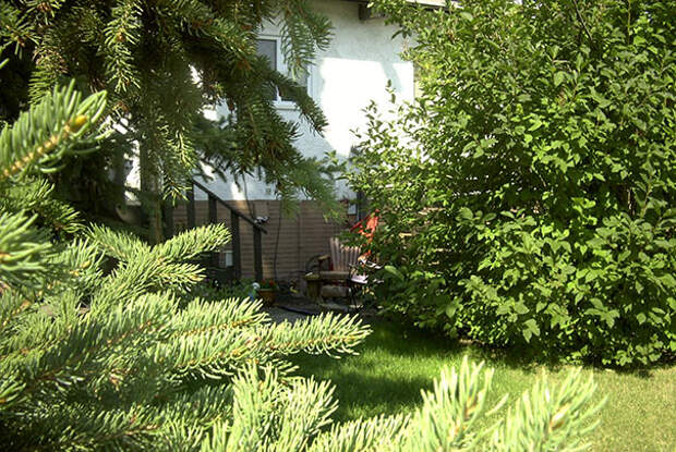 find-hidden-cat-camouflage-hide-and-seek-catouflage-194
