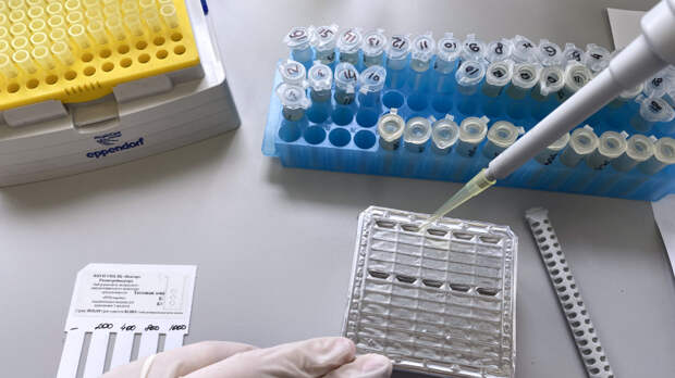 Три основных периода течения: как передается оспа обезьян