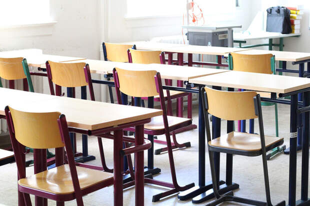 В екатеринбургской школе педагог ударила телефоном ученика за матерное слово