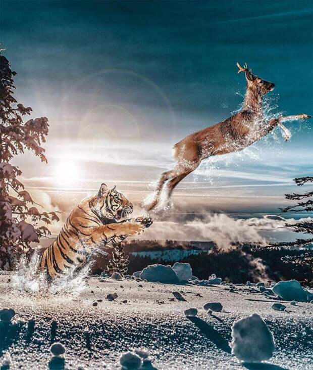 Работы Хусейна Сахин
