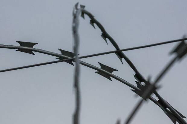 Раскрыты данные о пытках ВСУ в секретных тюрьмах на Украине