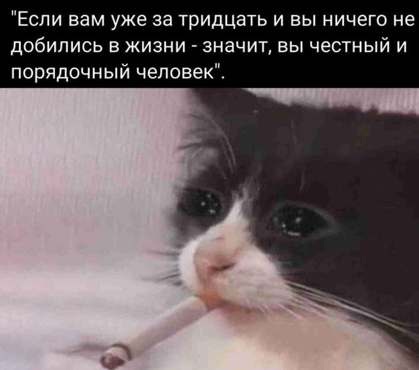 Ржачные картинки (7)