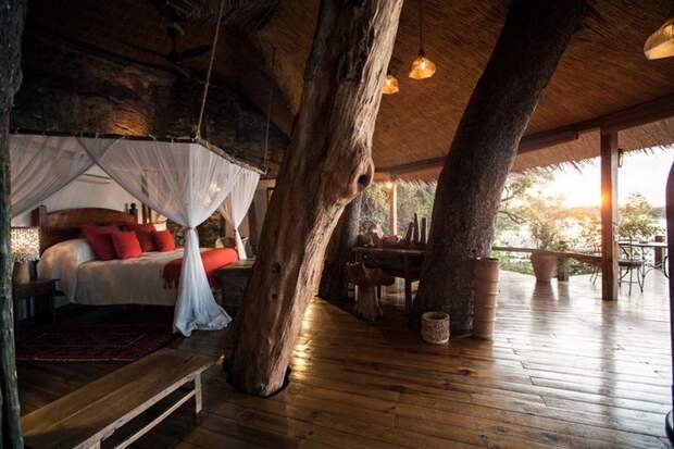 Удивительный "дом на дереве" в Замбези (4)