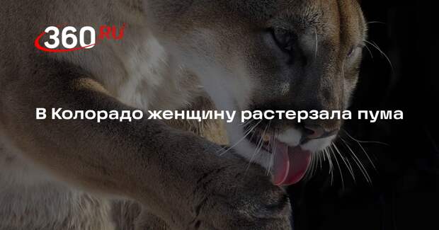 CNN: в Колорадо женщина погибла в результате нападения пумы