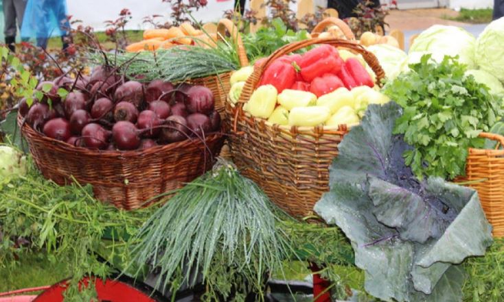 Диетолог фон Брух озвучила продукты, полезные для иммунитета