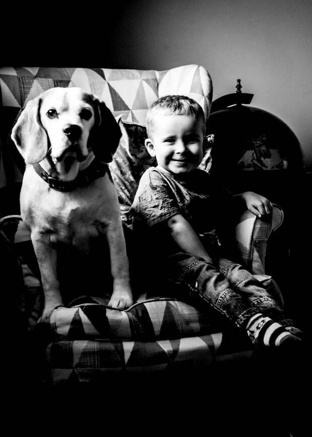 Октябрь 2017 взросление, изменение, собака, собака - друг человека, фотограф, фотопроект