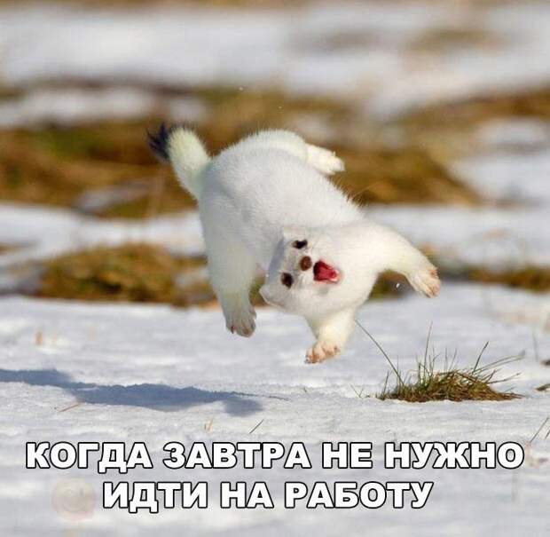 Прикольные фото