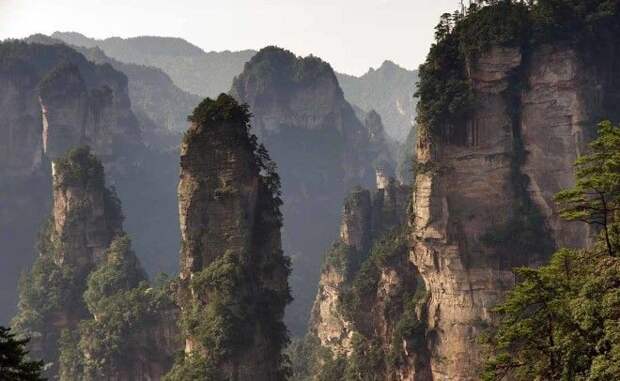 Национальный лесной парк Чжанцзяцзе Китай Расположенный в южной части провинции Хунань Китая, Национальный лесной парк Чжанцзяцзе представляет собой сюрреалистическое пространство каменных шпилей, сквозь которые в разные стороны растут деревья.