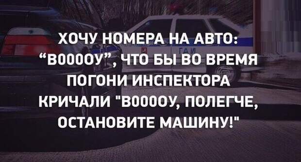 Забавные картинки и прикольные фото с надписями (11 фото) Забавные картинки и прикольные фото с надписями (11 фото)