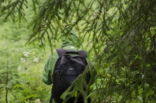 Почти 50 человек заблудились в лесах Подмосковья с начала года