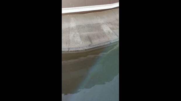 Video: Клип @donetskdnr_vk