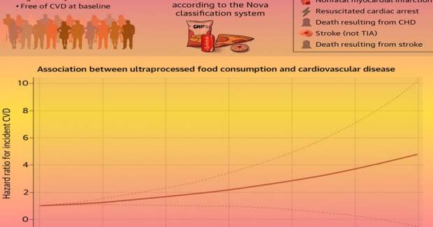 Ультраобработанная еда связана с ростом риска инфарктов и инсультов — исследование MESA