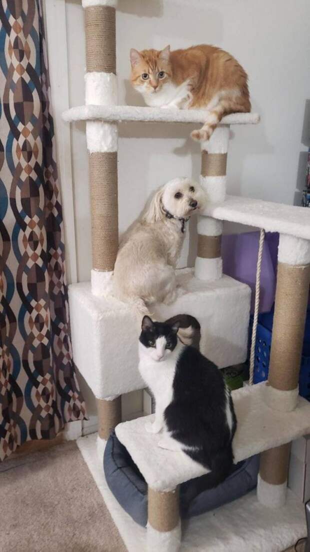 Подборка картинок дня