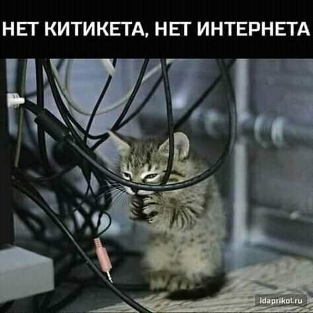 ПРИКОЛЬНЫЕ КАРТИНКИ # 51