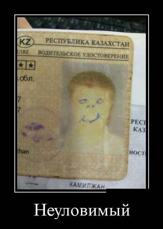 Демотиваторы №1641 (30 фото)