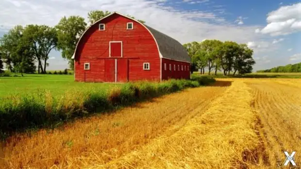 Достоверность истории. Откуда мы знаем, что было так, а не иначе