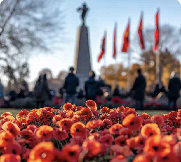 Судьба парада решается: что известно о праздновании 9 Мая в Новороссийске