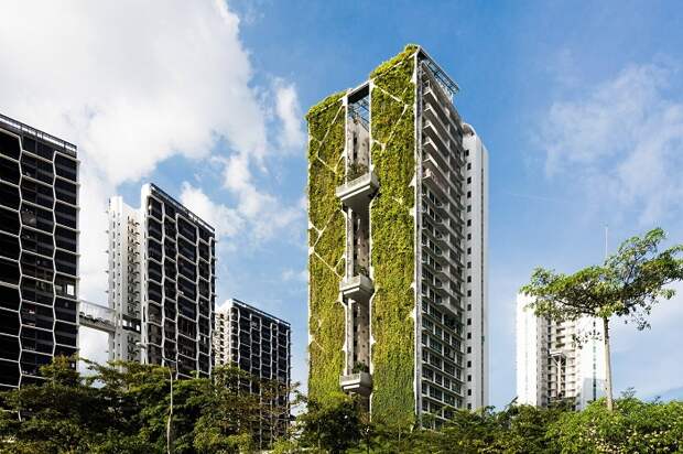 Благодаря «живому» фасаду только на электроэнергии экономят больше 400 тыс. дол. в год («Tree House», Сингапур). | Фото: channelnewsasia.com/ © Finbarr Fallon.