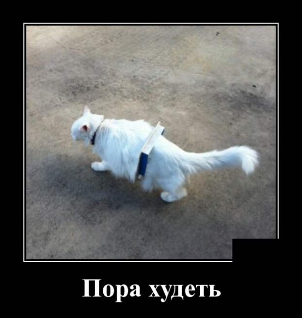 Демотиваторы смешные
