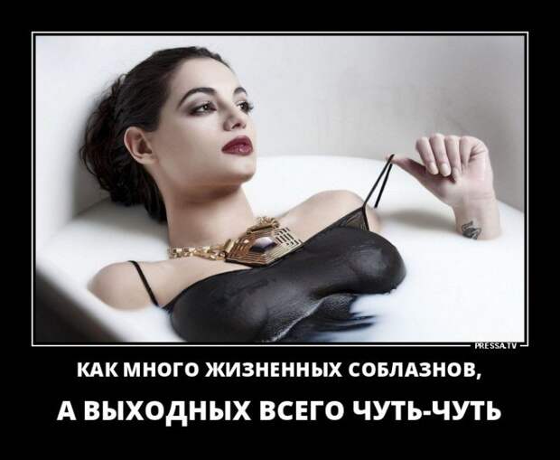 Забавные демотиваторы (130 штук) - красивые картинки
