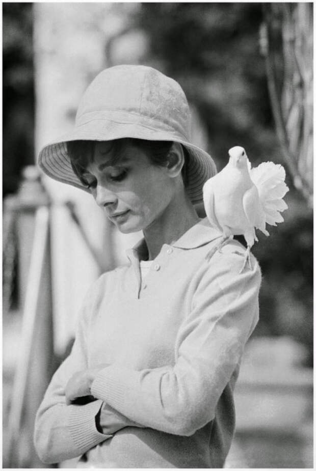 Британская актриса и фотомодель, 1966 год.