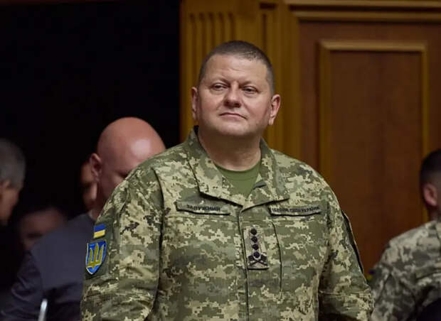 Залужный после ухода с поста главкома ВСУ признан непригодным к военной службе