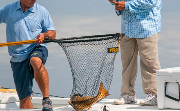 Источник https://www.saltwaterexperience.com/blog/2014/12/4/questions-whats-the-best-landing-net