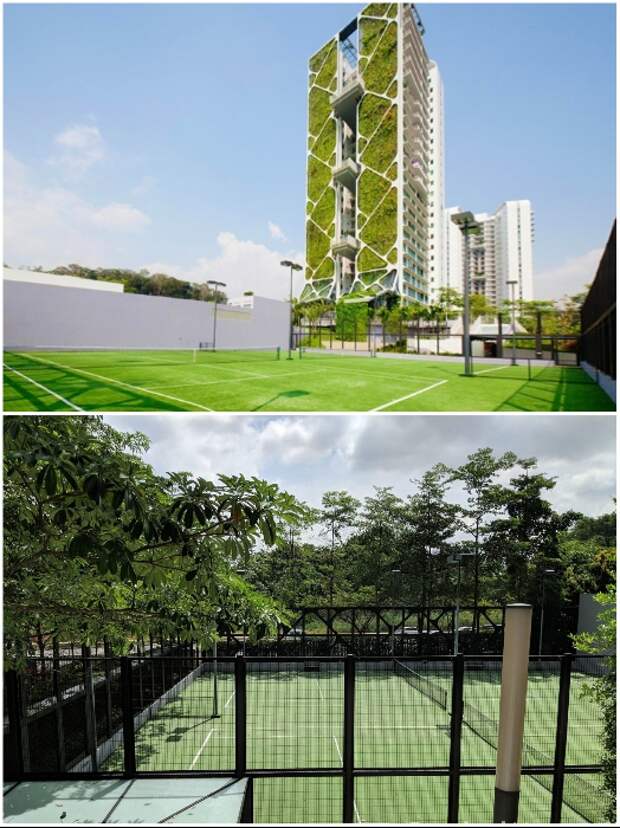 Спортивные площадки и корты, расположенные на территории жилого комплекса («Tree House», Сингапур). | Фото: uno-propiedades.com.ar/ stackedhomes.com.
