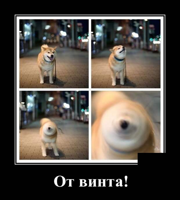 Демотиваторы (30 фото)