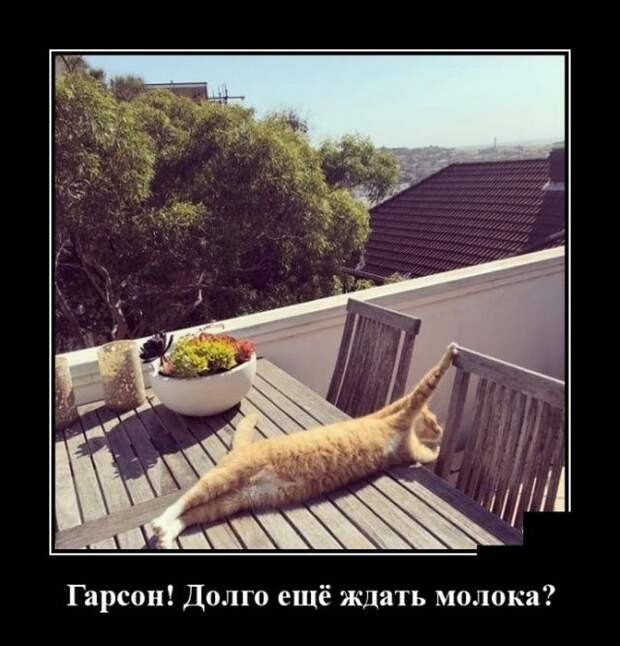 Демотиваторы (30 фото)