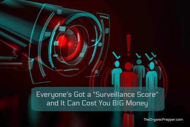 Everyone's Got A "Surveillance Score" And It Can Cost You Big Money