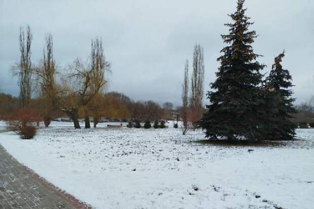 Погода в Тамбове: январь запускает морозный сценарий