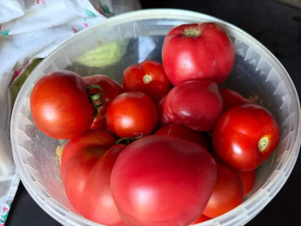 Сыт по горло до августа: 1 ложка в лунку — и томаты с перцами завалят сладкими плодами