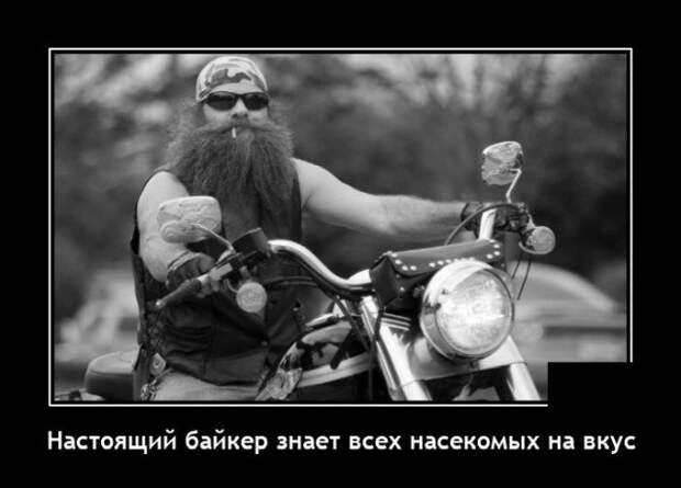 Демотиватор про байкеров