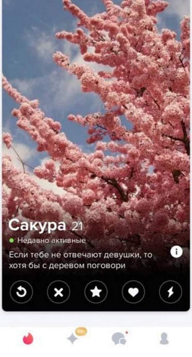 Лучшие анкеты с популярного сайта знакомств