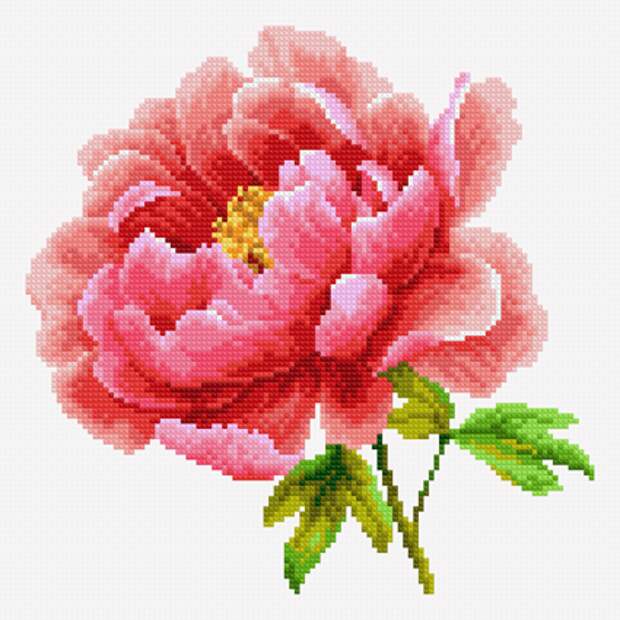 Pink-Peony(P) (425x425, 221Kb)