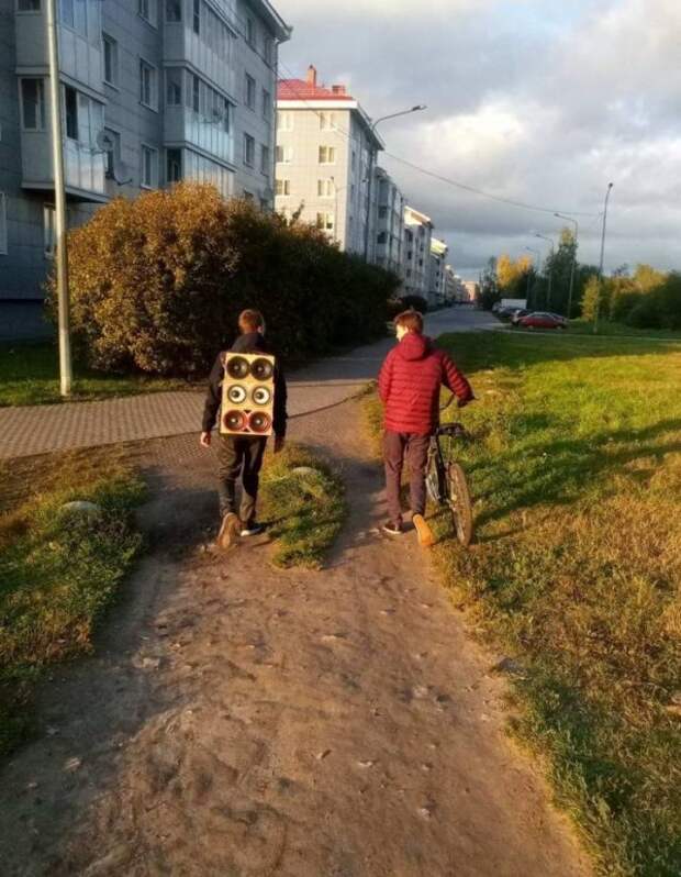 kartinok-prikolnyh-podborka-kartinki-smeshnye-kartinki-fotoprikoly